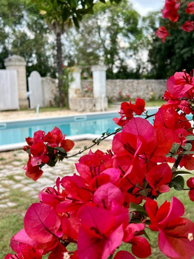 Villa Encantamiento - Dimora Gelsomino - Masseria Storica Nel Cuore Della Puglia Con Piscina Latiano Extérieur photo